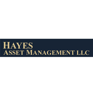 haynes asset management